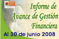 Informe de Avance 2008