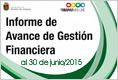 Informe de Avance 2015