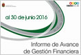 Informe de Avance 2016