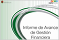 Informe de Avance 2017