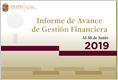 Informe de Avance 2019