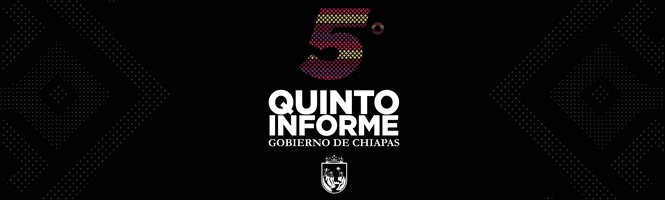 5to. Informe
